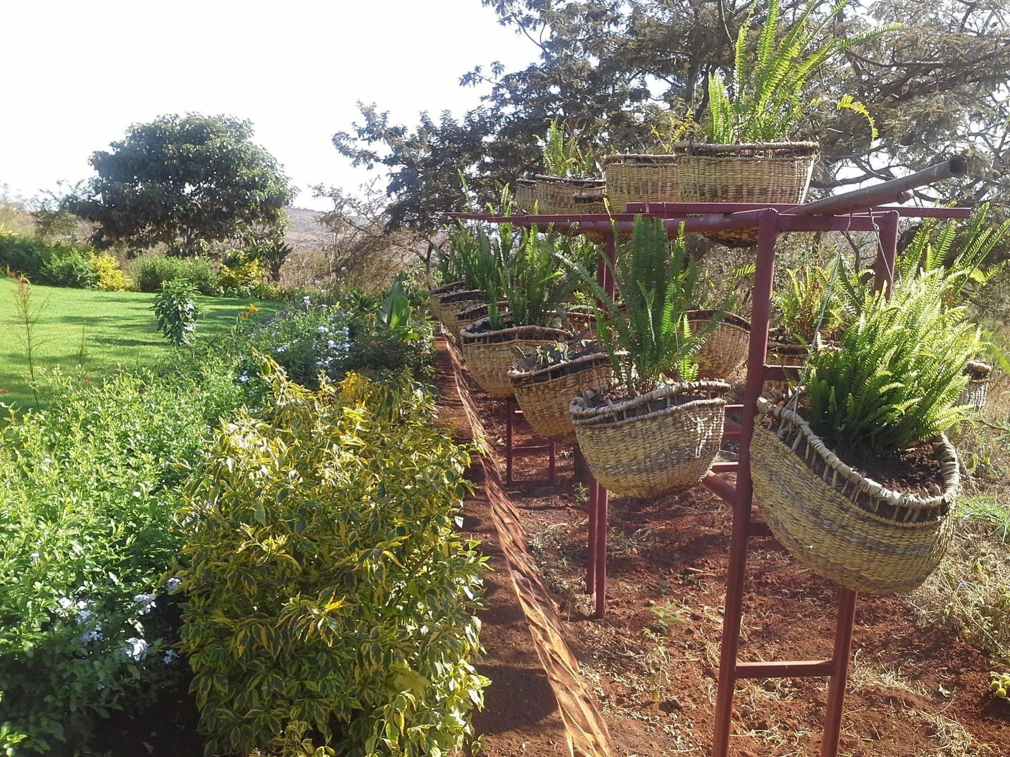 Acacia Farm Lodge Ngorongoro Exterior foto